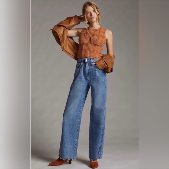 Tops - NWT Anthropologie current Air corset
